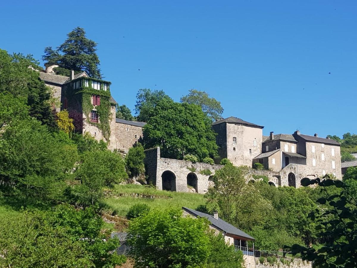 Maison D'Hotes "La Pierre Pointue" Saint-Léons エクステリア 写真