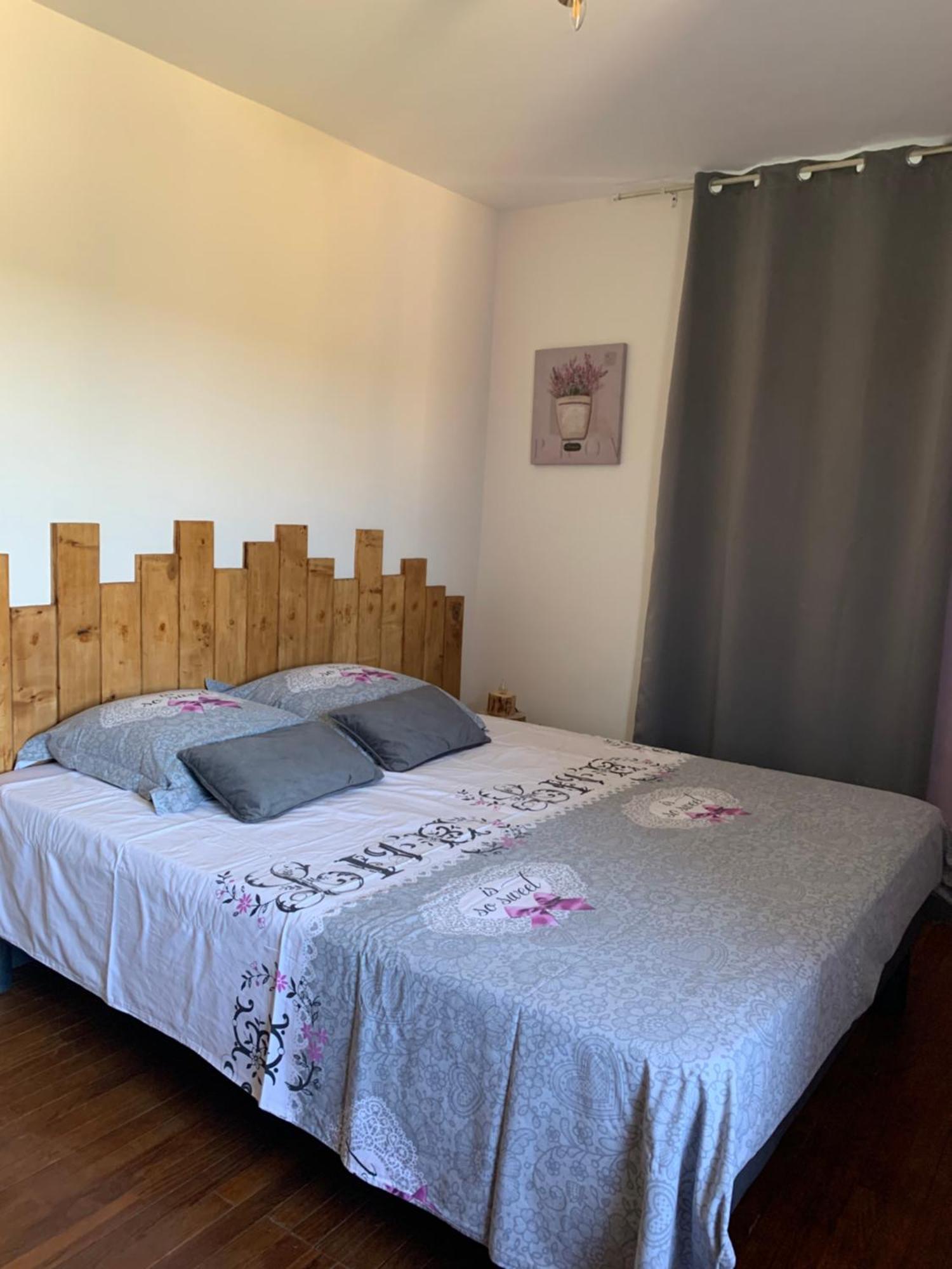Maison D'Hotes "La Pierre Pointue" Saint-Léons エクステリア 写真