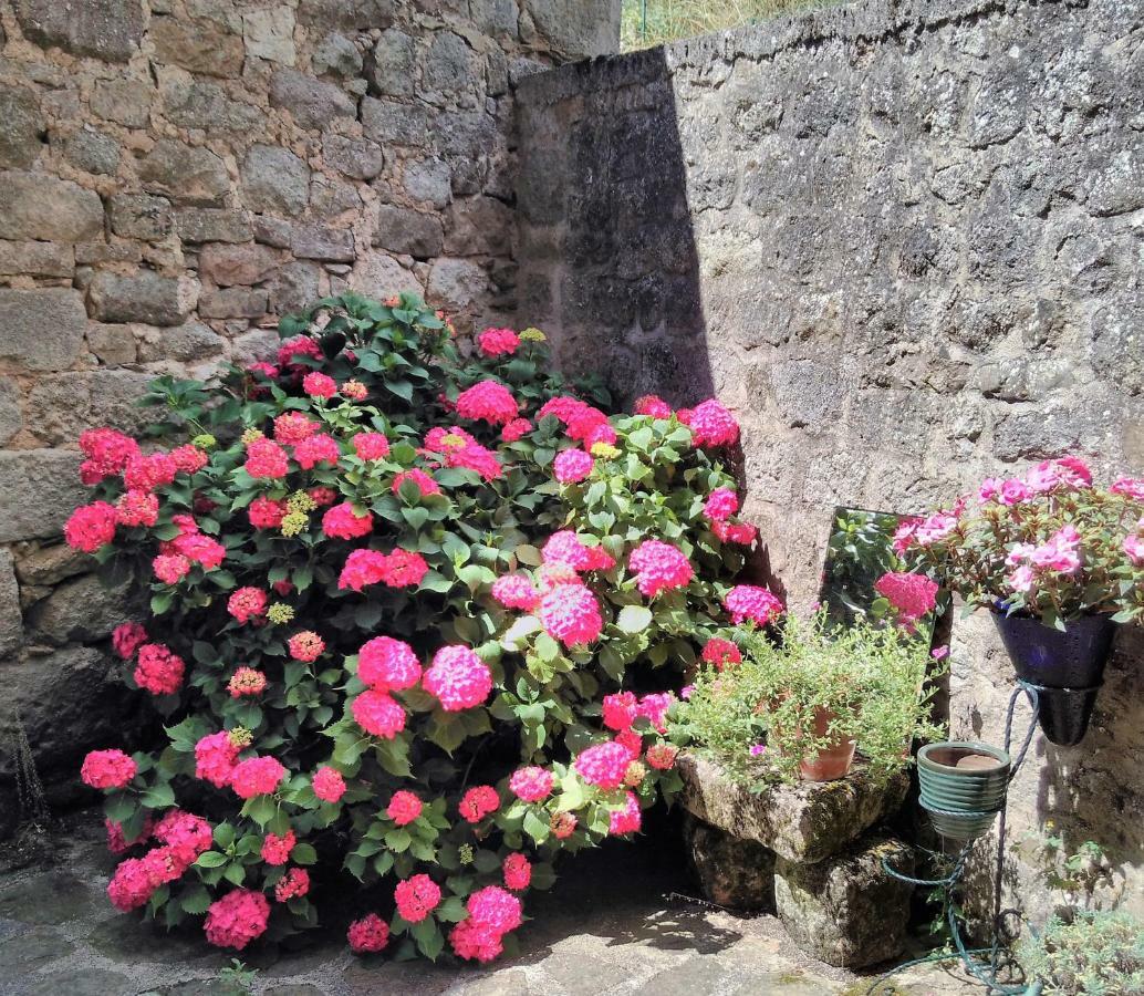Maison D'Hotes "La Pierre Pointue" Saint-Léons エクステリア 写真