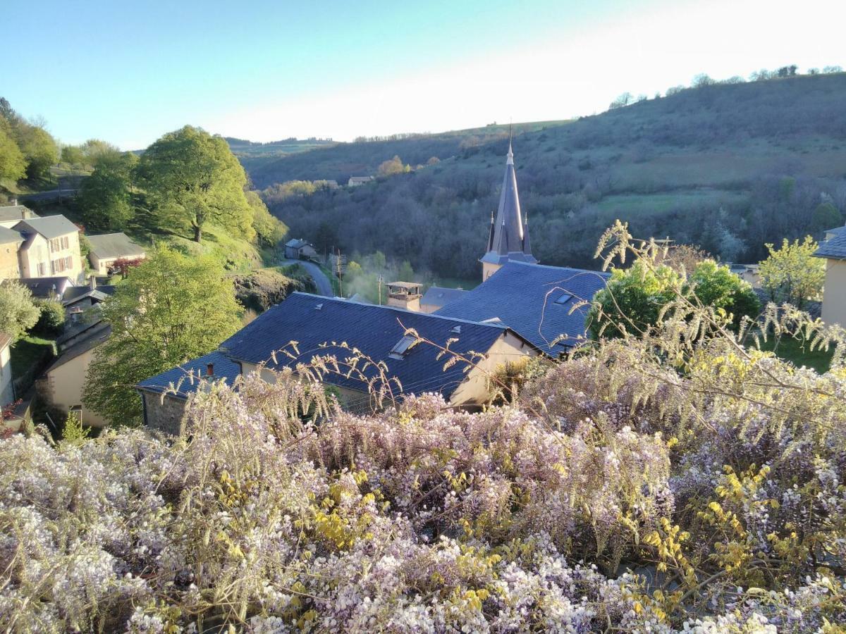 Maison D'Hotes "La Pierre Pointue" Saint-Léons エクステリア 写真